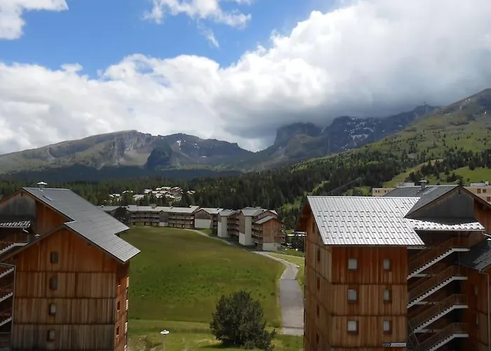 Jolie Vue De L\'Heliantheme