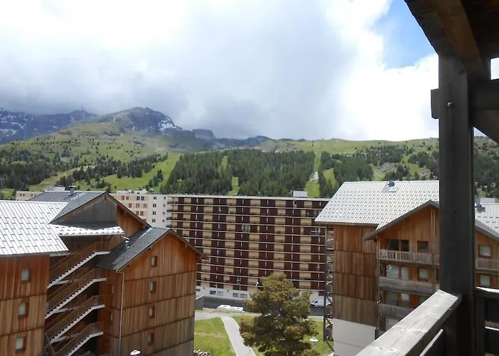 Jolie Vue De L\'Heliantheme